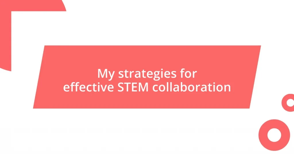 My strategies for effective STEM collaboration